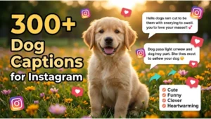 300+ Dog Captions for Instagram: Cute, Funny, Clever & Heartwarming Quotes for Every Pup